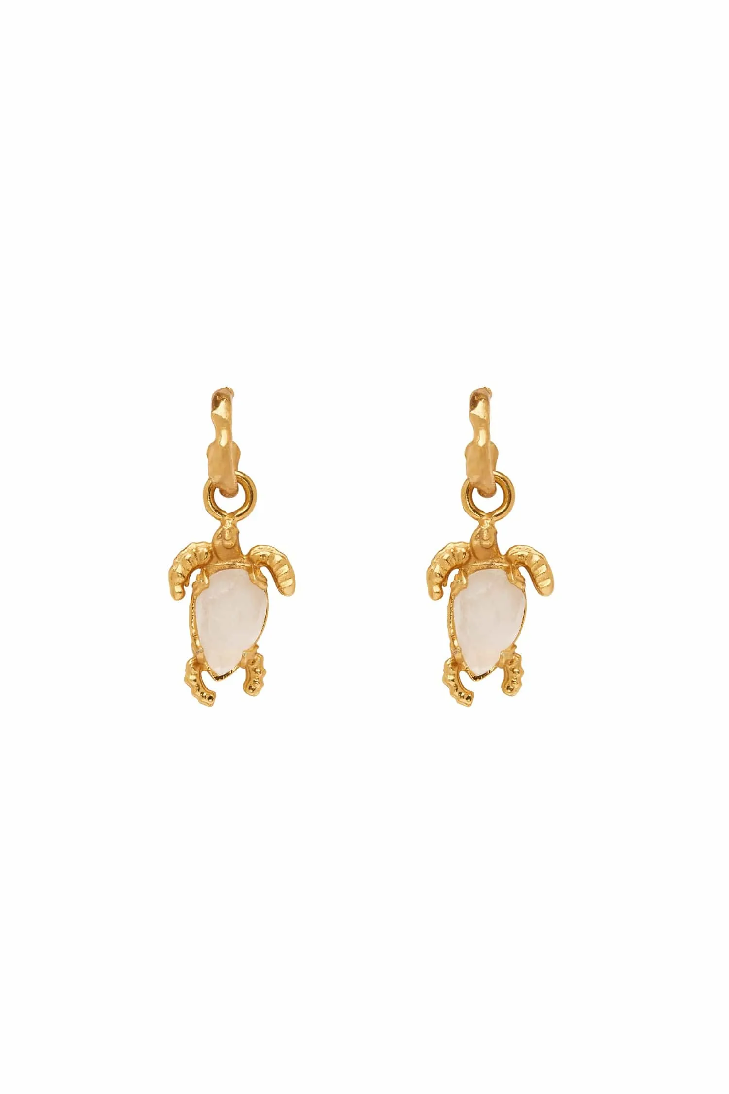 Gold Encanto Turtle Drop Earrings